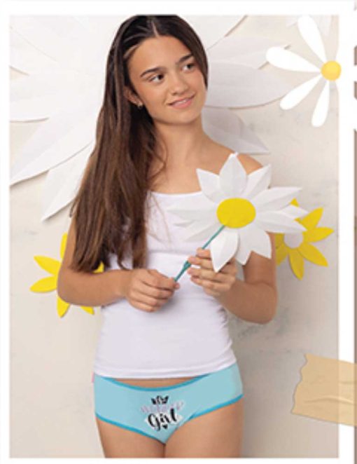 Codigo: 88 -- marey lenceria -- PACK X 3 culotte nena algodon con lycra estampado