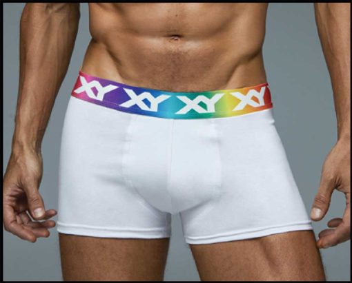 Codigo: 1388 -- boxer xy -- Bóxer de algodón con elastano liso. Tiro y pierna corta con pinza central.