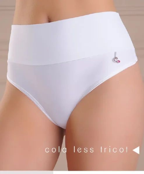 Codigo: 377 -- coramina lenceria -- Bombacha cola less con cintura ancha doble. Tricot pesado.